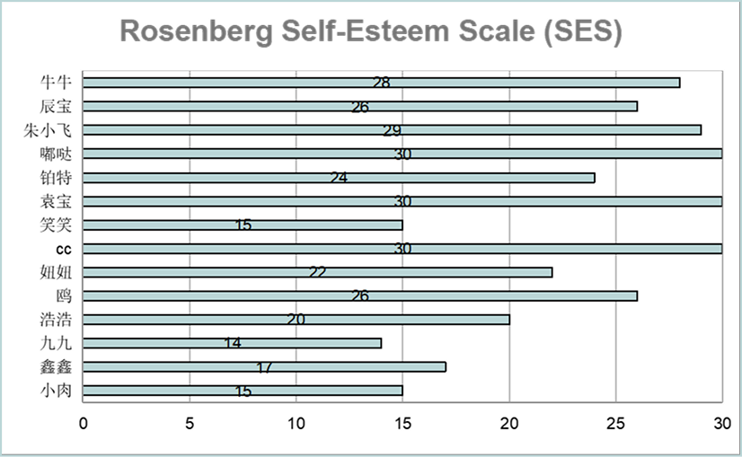Individual participant results plotted for the Rosenberg Self-Esteem Scale.